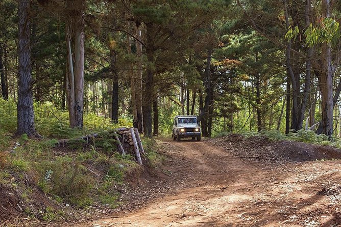 Nun's Valley & Sea Cliff - Half Day - Shared Tour - Driver and group size: small details that change the whole vibe