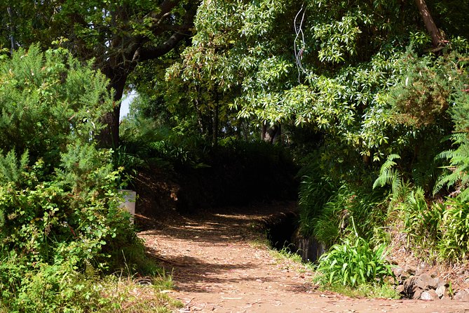 Paradise Valley Beauty Walk - Price and value: is $34.70 a fair deal?