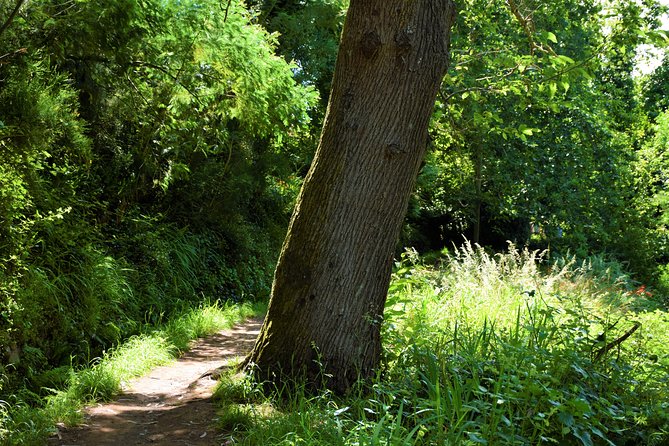 Paradise Valley Beauty Walk - Weather matters: how to plan around the good conditions