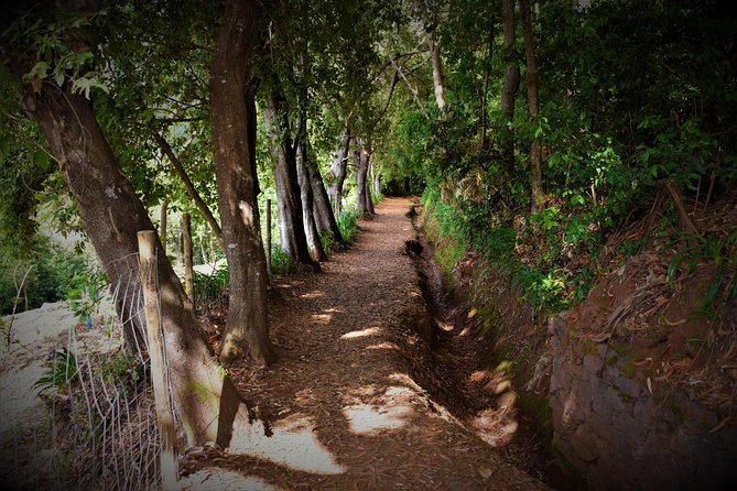 Paradise Valley Beauty Walk - Should you book Paradise Valley Beauty Walk?