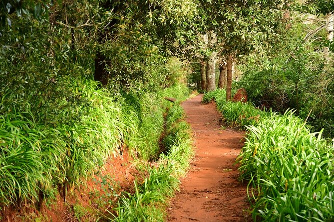 Paradise Valley Madeira Island Walk - Key Highlights You’ll Feel on the Walk