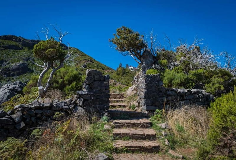 Pico Areeiro to Pico Ruivo Madeira Island Walk - Key Things You’ll Notice on This Madeira Peaks Hike