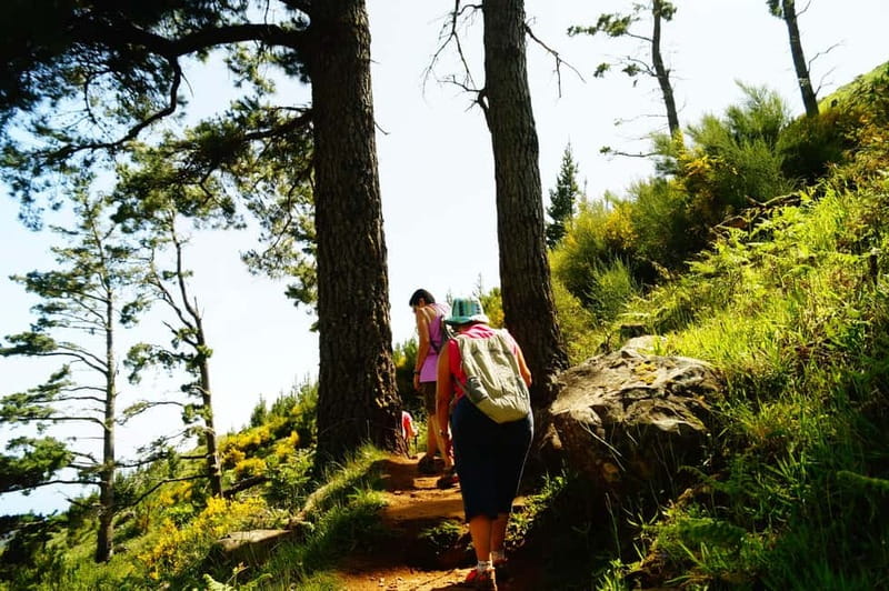 Pico do Arieiro - Stairway to Heaven Hike - Sunrise Option - Transfers, language, and what makes the logistics feel simpler