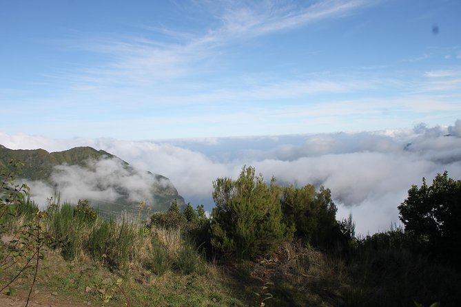 Porto Moniz 4x4 West tour - Vereda do Fanal and Ribeira da Janela: open views vs Laurisilva shade