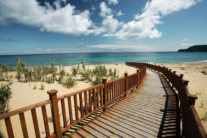 Porto Santo One-Day Cruise and Tour - Who Leads the Day: Guides, English, and the Small-Group Feel