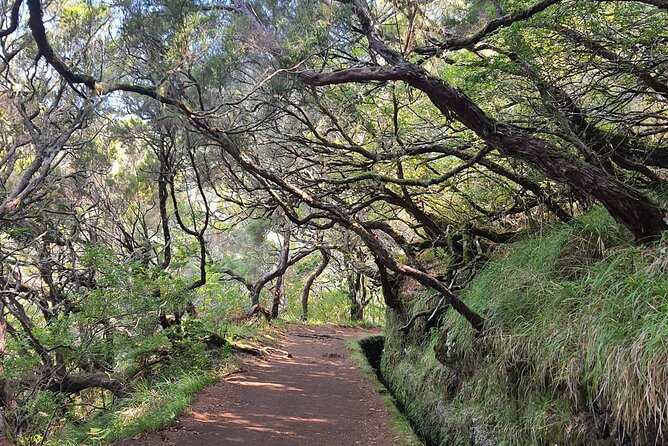 PR6 & PR6.1 25 Fontes & Risco Levada Self-Guided Hiking Rabaçal - Key highlights before you go