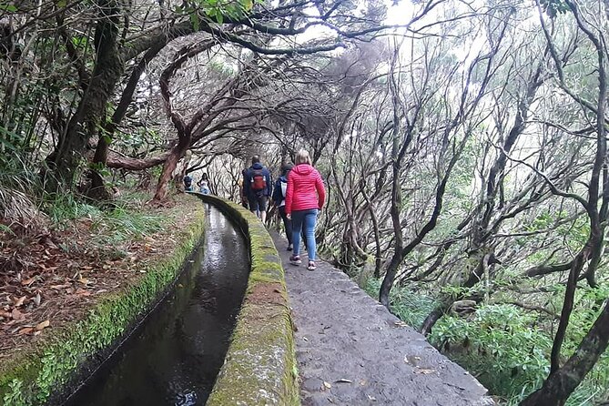 PR6 & PR6.1 25 Fontes & Risco Levada Self-Guided Hiking Rabaçal - Calheta and Ponta do Sol on the ride back