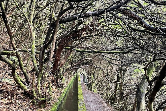 PR6 & PR6.1 25 Fontes & Risco Levada Self-Guided Hiking Rabaçal - Hotel pickup and the quiet relief of not driving