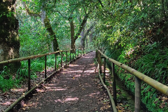 PR9 Caldeirão Verde Queimadas Levada Self-Guided Hiking Transfer - Key highlights worth knowing
