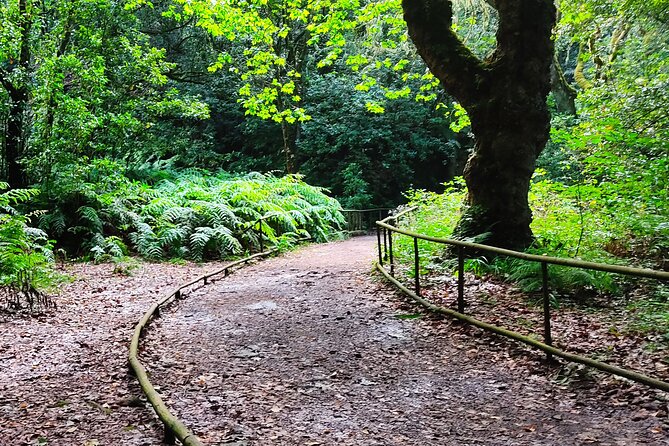 PR9 Caldeirão Verde Queimadas Levada Self-Guided Hiking Transfer - Funchal pickup: where you can board, and where you can’t