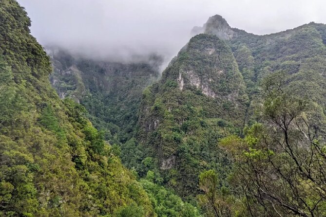 PR9 Caldeirão Verde Queimadas Levada Self-Guided Hiking Transfer - Your transfer and the human touch: drivers make a difference