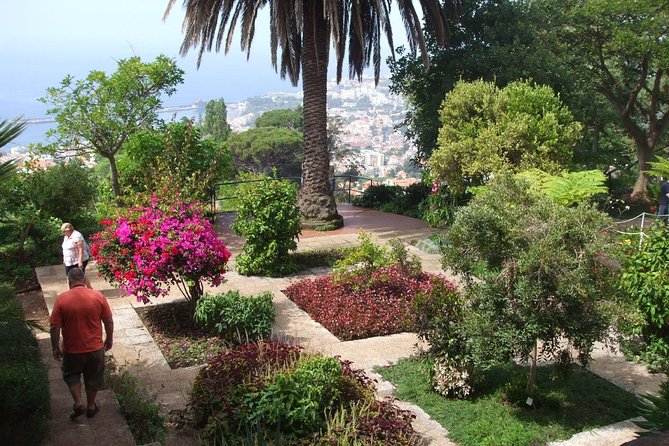 Private Botanical Garden Tour - Why a tuk-tuk botanical garden loop makes sense in Funchal