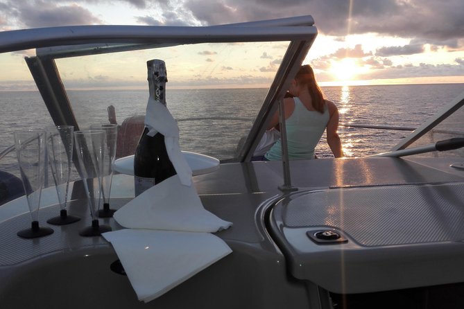Private Dolphin and Whale Watching Tour in Madeira - Quick Key Points Before Your Calheta Boat Trip