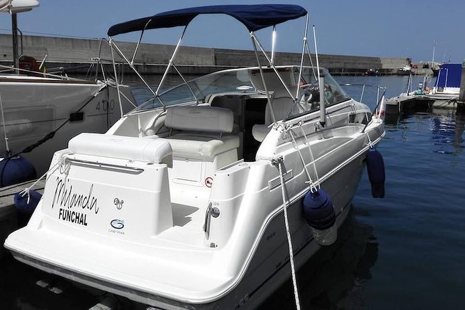 Private Dolphin and Whale Watching Tour in Madeira - Calheta Start: The Private Charter Feel Begins at On Tales