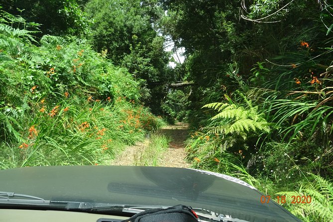 Private Full Day Off-Road Tour in Madeira - Stop 3: Porto Moniz natural pools, then north-coast villages and waterfalls