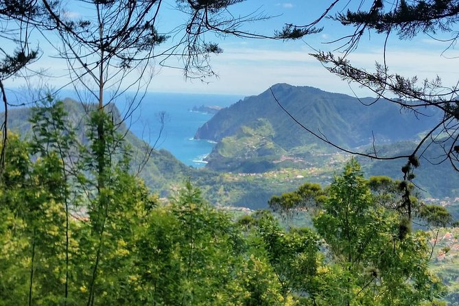 Private Full Day Off-Road Tour in Madeira - Customization: how to get a route that fits your interests