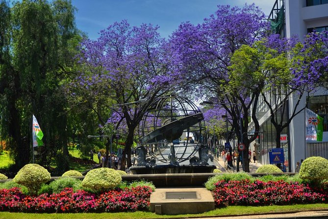 Private Funchal City Tour by Tukxi - Should You Book This Tukxi Tour in Funchal?