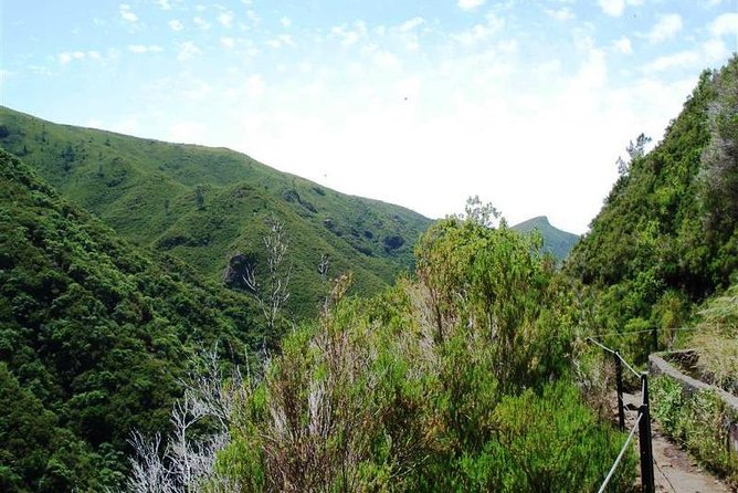 Private Guided Walk Levada 25 Fontes - The guided 25 Fontes and Cascada da Risco walk: pace, stops, and what to expect