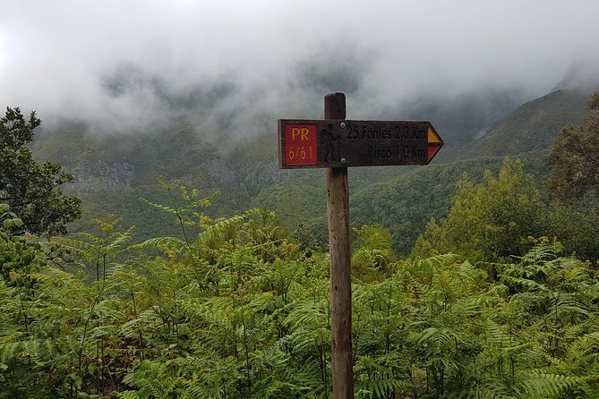 Private Guided Walk Levada 25 Fontes - Who this private 25 Fontes Levada walk is best for