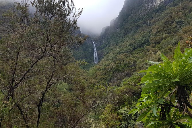 Private Guided Walk Levada 25 Fontes - Should you book Private Guided Walk Levada 25 Fontes?