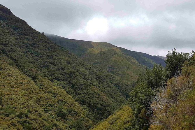 Private Guided Walk Levada 25 Fontes - What to bring (and how to dress) for a wet-weather Madeira hike