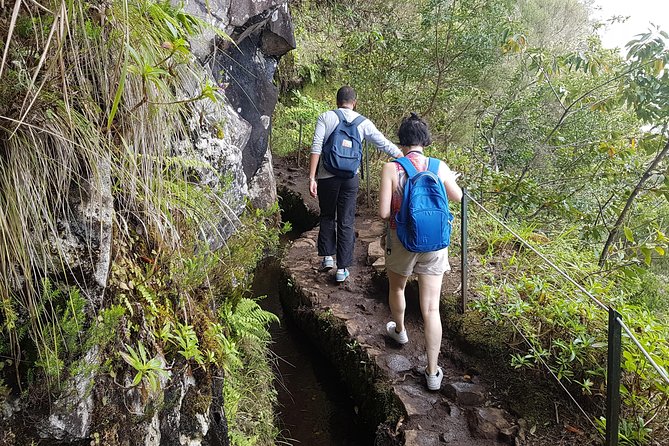 Private Guided Walk Levada Caldeirao Verde - What’s Included (and Why It Matters for Value)