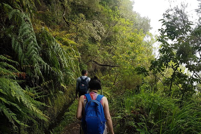 Private Guided Walk Levada Caldeirao Verde - Your Guide Makes the Difference: Marco, Francisco, and the Story Side of Madeira