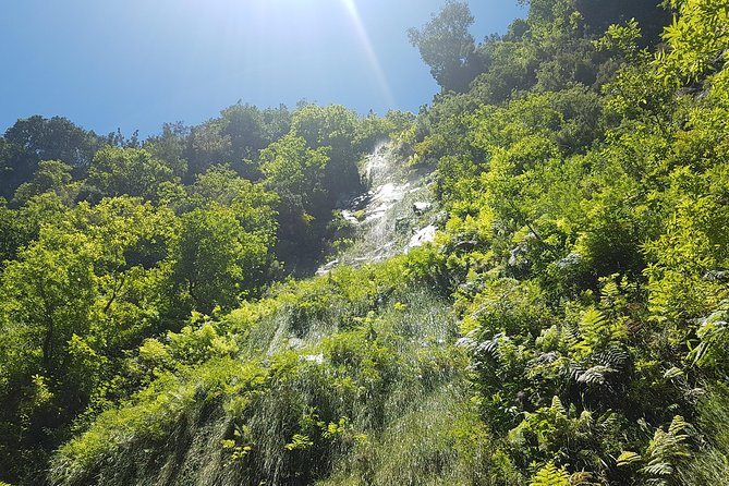 Private Guided Walk Levada do Rei - Value for $80.67: When Private Transport Actually Saves Money