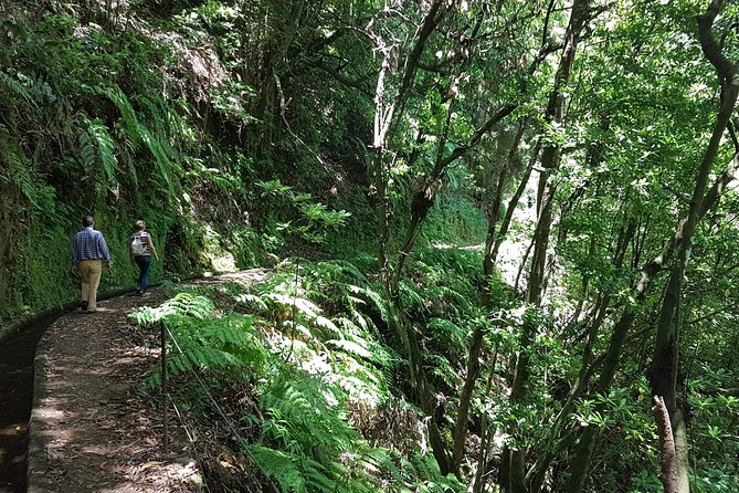 Private Guided Walk Levada do Rei - The Private Guide Advantage: Pace, Small Detours, and Better Questions