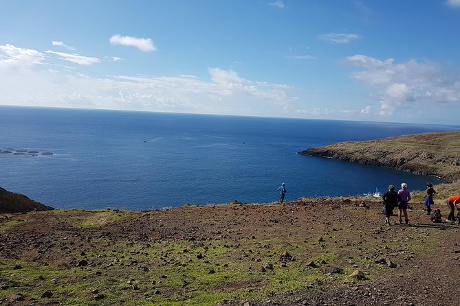 Private Guided Walk Ponta São Lourenço - North vs south sea contrast: the moment it clicks