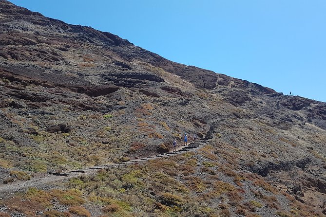 Private Guided Walk Ponta São Lourenço - What’s included (and how it affects your day)
