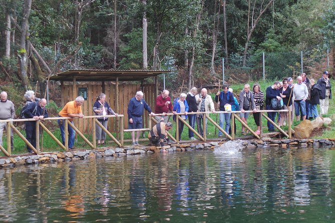 Private Half-Day 4X4 Experience: East or West - Valley of the Nuns (Curral das Freiras): why the timing feels right