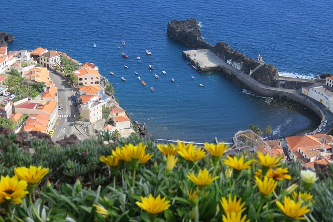 Private Half-Day Morning 4x4 Tour from Funchal - Why this private Funchal 4x4 tour works as a half-day plan