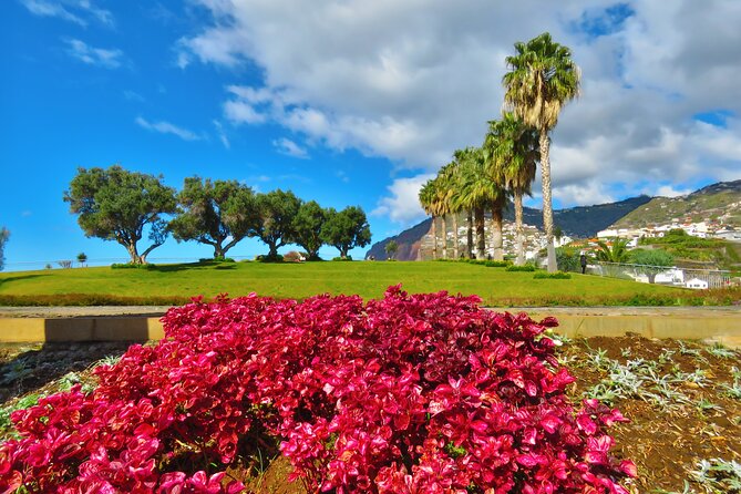 Private Half-Day Morning 4x4 Tour from Funchal - Stop 1: Faja dos Padres and the coast-by-cliff viewpoint