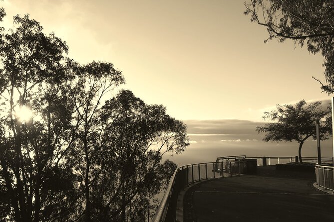 Private Half-Day Morning 4x4 Tour from Funchal - Stop 4: Boca da Corrida at ~1,000m near Jardim da Serra