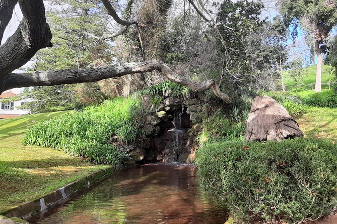 Private Halfday Flower Palheiro Gardens Tour - Entering Palheiro Gardens: why this half-day works