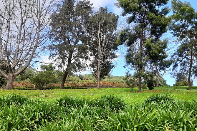 Private Halfday Flower Palheiro Gardens Tour - Tea-house choices and the apple pie moment