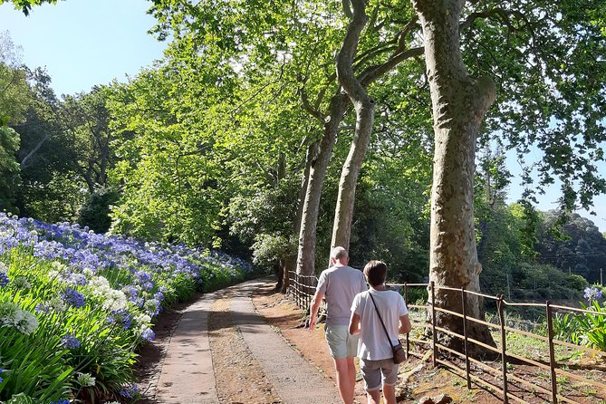 Private Halfday Flower Palheiro Gardens Tour - Price and value: is $108.37 fair for this 3-hour private tour?