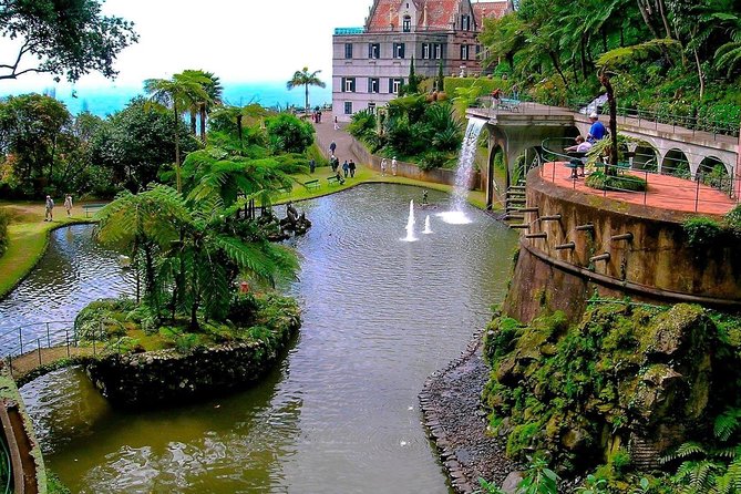 Private Halfday Madeira Garden Tour - Why this tour works better than DIY