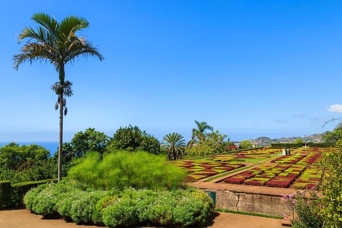 Private Halfday Madeira Garden Tour - Monte Palace Tropical Garden: plants, history, and 300 exotic birds