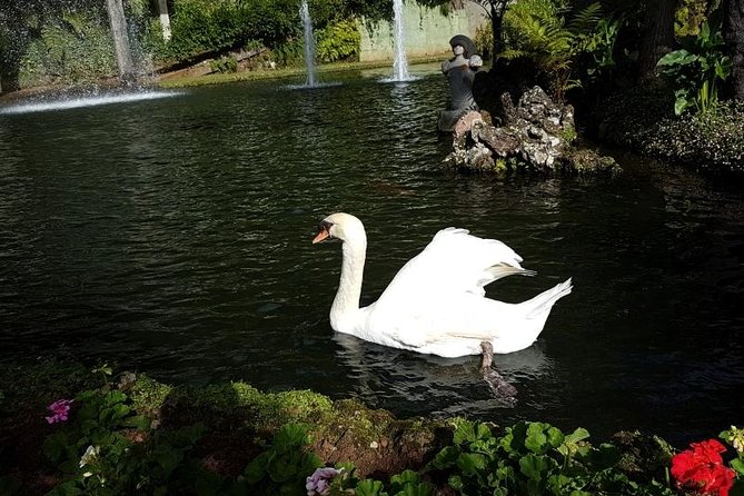 Private Halfday Madeira Garden Tour - Madeira Botanical Garden: plant displays and exotic birds