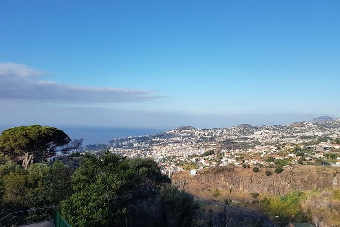 Private Halfday Madeira Garden Tour - The 4-hour schedule: how to plan your day in Funchal