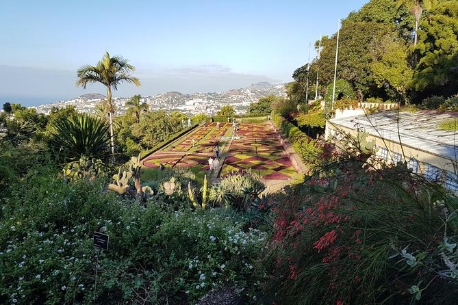 Private Halfday Madeira Garden Tour - Nossa Senhora do Monte church stop: a quick cultural reset