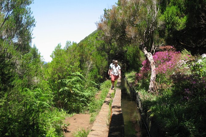 Private Madeira tour 8 people - Private Minivan, Up To 8: Comfort and Control From Funchal