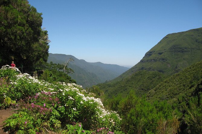 Private Madeira tour 8 people - Who This Private Madeira Tour Suits Best