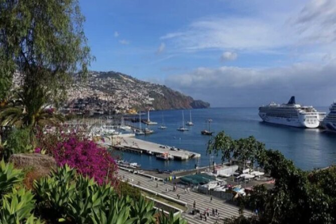 Private: Maderia Island Tour & Famous Monte Toboggan Ride - Price and Value: What You’re Really Paying For