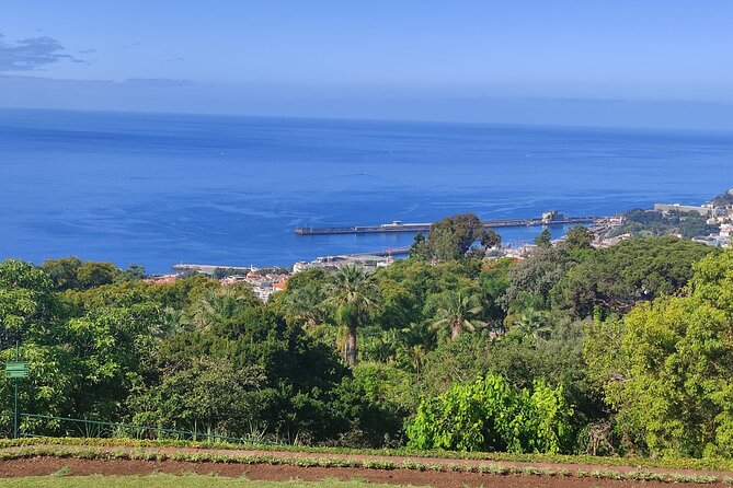 Private Sidecar Tour – Downtown Funchal for 1 or 2 People - Miradouro do Pináculo: Another Angle on the Atlantic (About 20 Minutes)