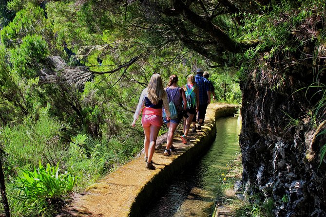 Private Small Group Full Day 4x4 Tour in Northwest Madeira - Seixal and the golden-hour return via the skywalk