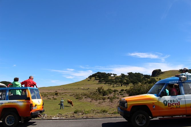 Private Small Group Full Day 4x4 Tour in Northwest Madeira - Value for money: what $505 per group gets you