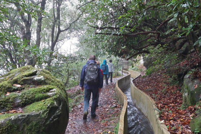 Private Sunrise Guided hike on Pico do Areeiro or other custom - Weather all day: why dressing right is part of the deal